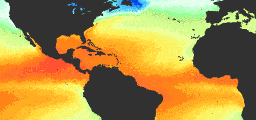 sea-surface temperature map