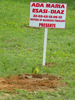 tree planted for Dr. Ada Maria Isasi Diaz