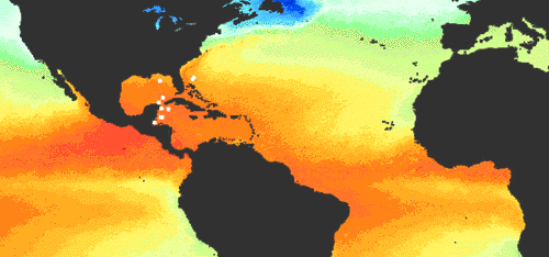 Tropical Cyclones: Formation—Sea-surface Temperatures