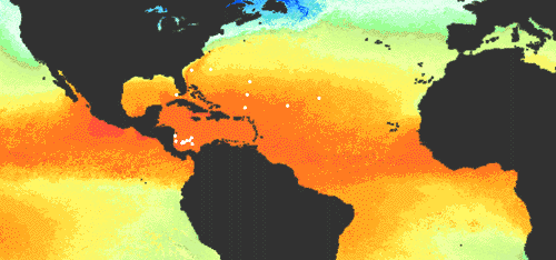 Tropical Cyclones: Formation—Sea-surface Temperatures