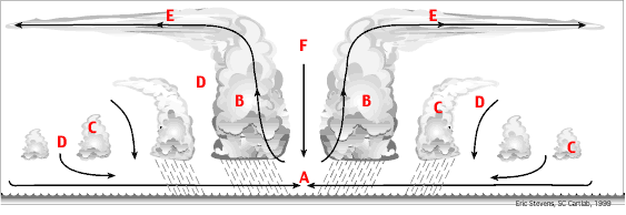 Diagram of hurricane structure